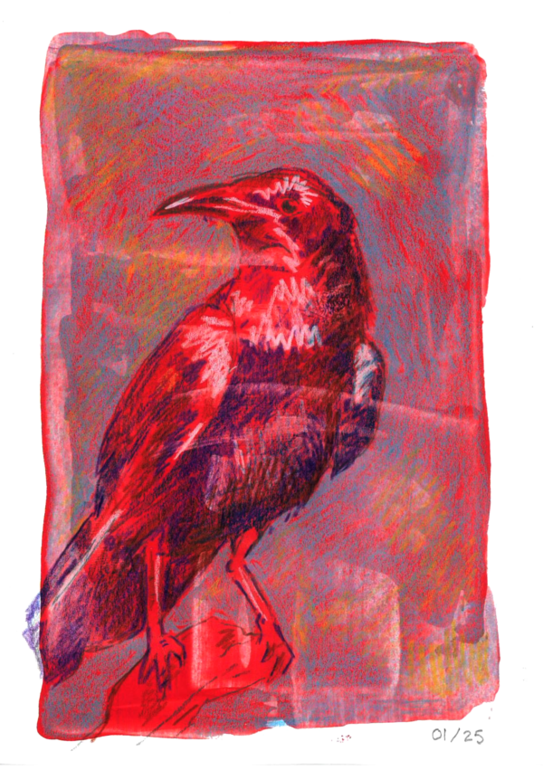 A beautiful crow, in red and black tones with contrasting white highlights.