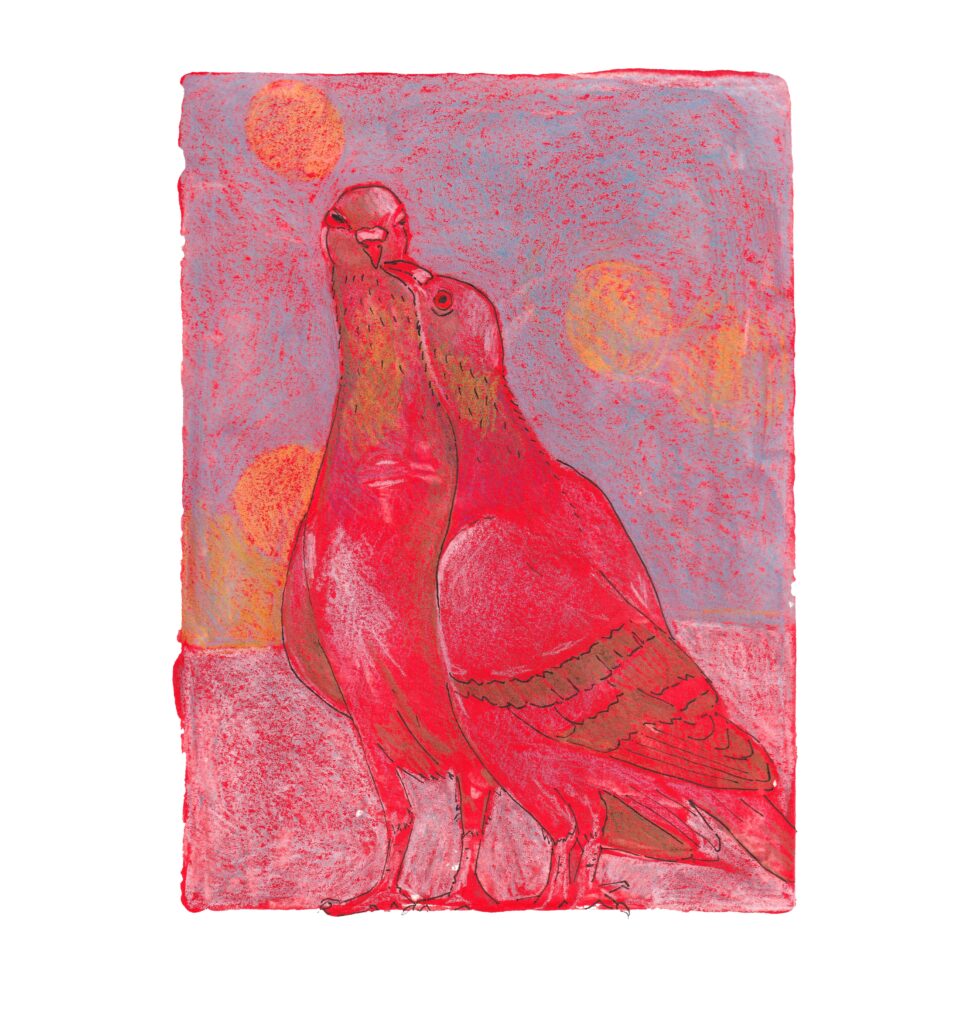 Red pigeons sharing a kiss on a monochromatic background