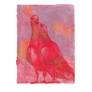 Red pigeons sharing a kiss on a monochromatic background