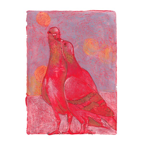 Red pigeons sharing a kiss on a monochromatic background