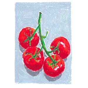 Ripe red tomatoes on a pale blue background
