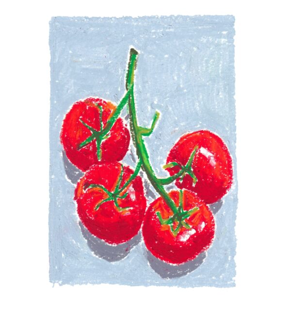 Ripe red tomatoes on a pale blue background